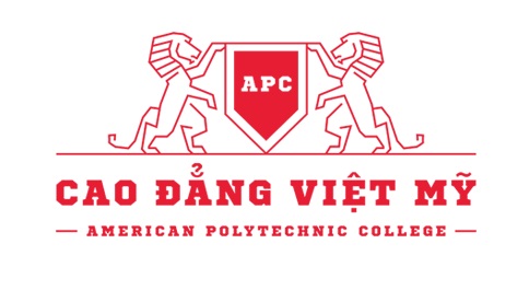 Giới thiệu về trường cao đẳng Việt Mỹ.
